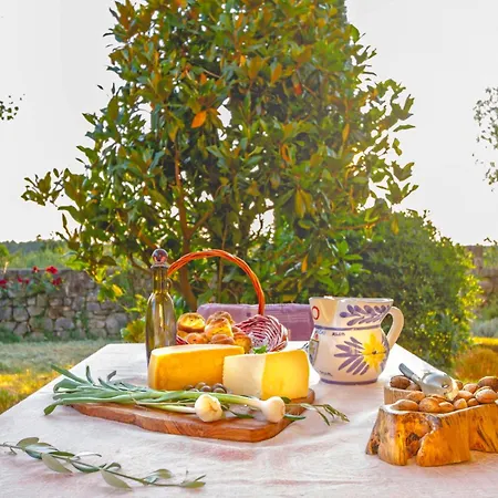 Leandra In Rovinjsko Selo * Istrien