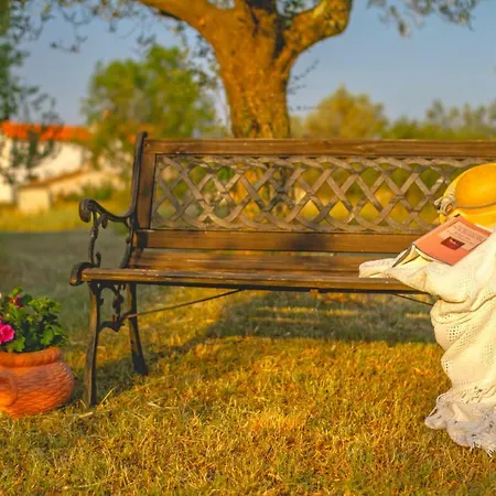 Leandra In Rovinjsko Selo * Istrien Rovigno