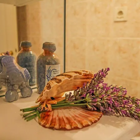 Pensjonat Leandra In Rovinjsko Selo * Istrien Rovinj