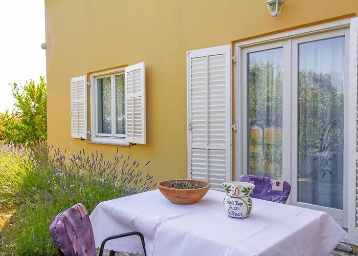 Leandra In Rovinjsko Selo * Istrien ゲストハウス