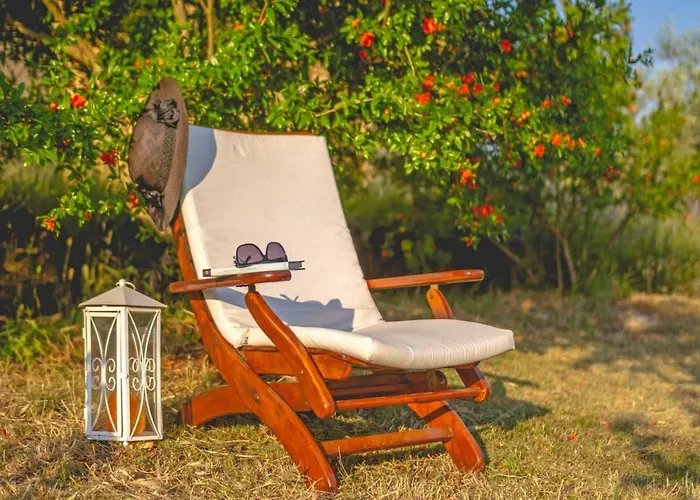 Leandra In Rovinjsko Selo * Istrien Gostinjska kuća